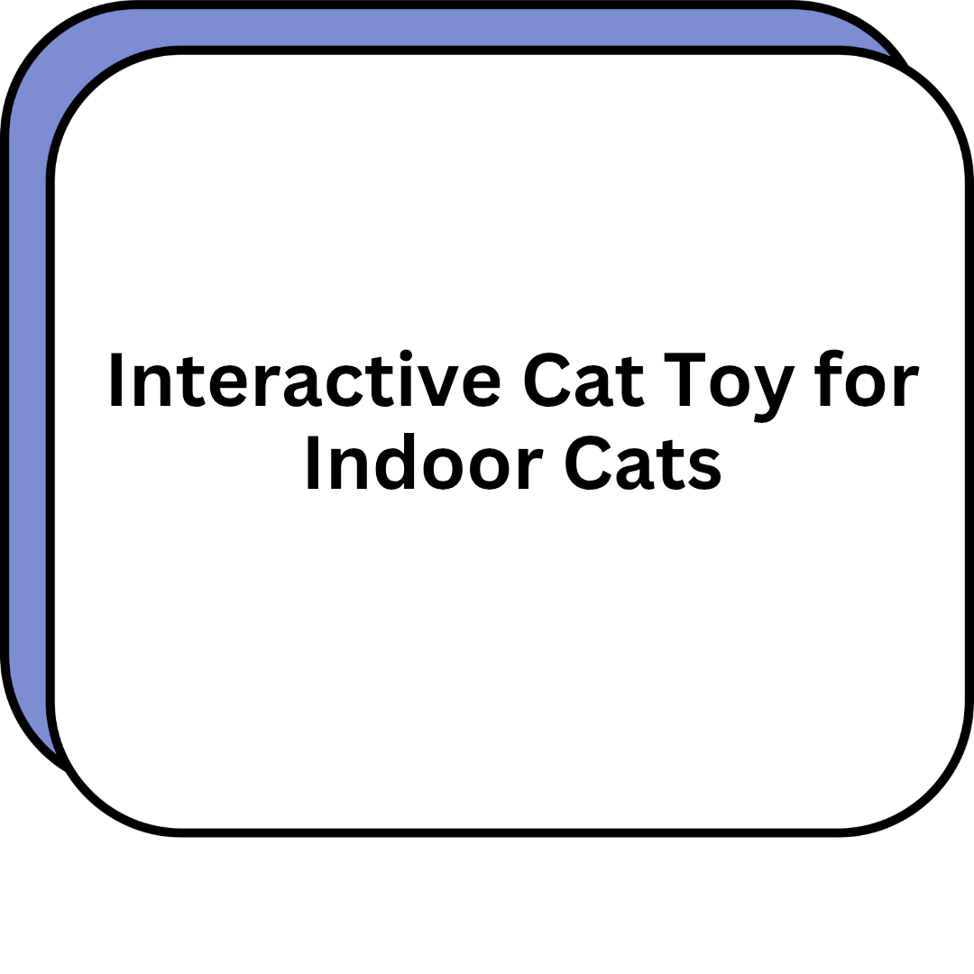 Interactive Cat Toy for Indoor Cats