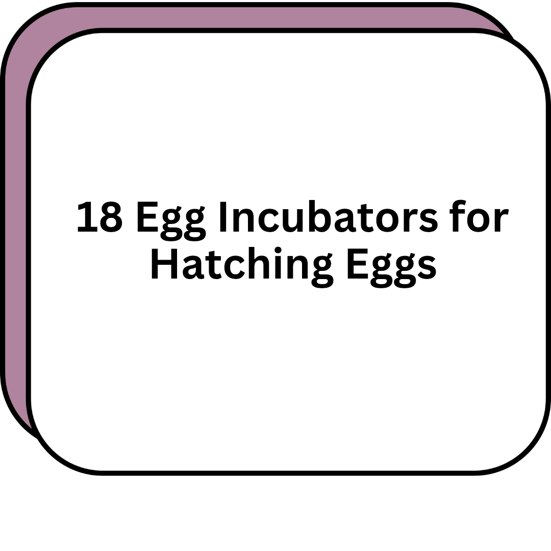 18 Egg Incubators for Hatching Eggs