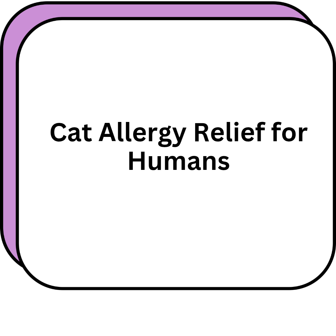 Cat Allergy Relief for Humans