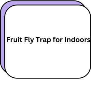 Fruit Fly Trap for Indoors