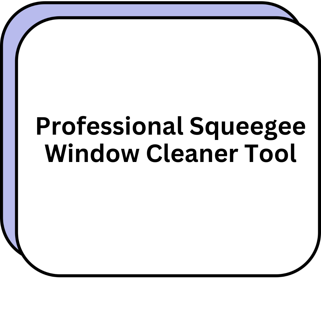 Professional Squeegee Window Cleaner Tool