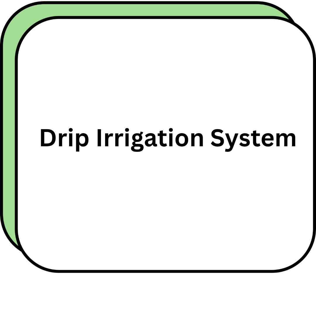 Drip Irrigation System