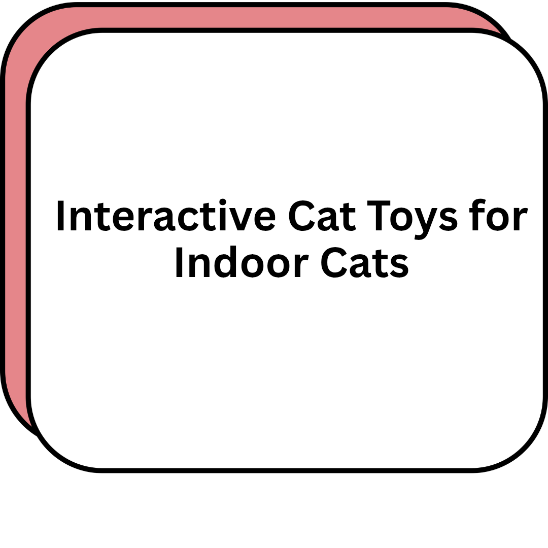 Interactive Cat Toys for Indoor Cats