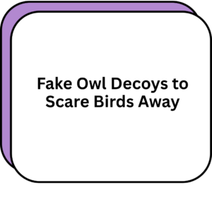 Fake Owl Decoys to Scare Birds Away