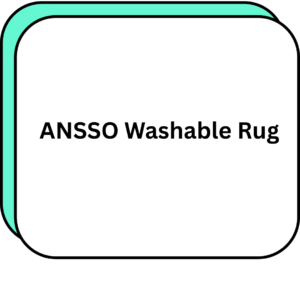 ANSSO Washable Rug
