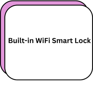 Built-in WiFi Smart Lock