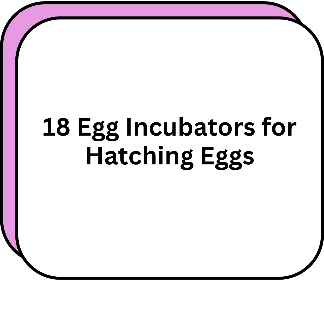 18 Egg Incubators for Hatching Eggs