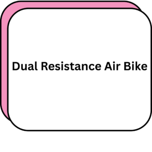 Dual Resistance Air Bike