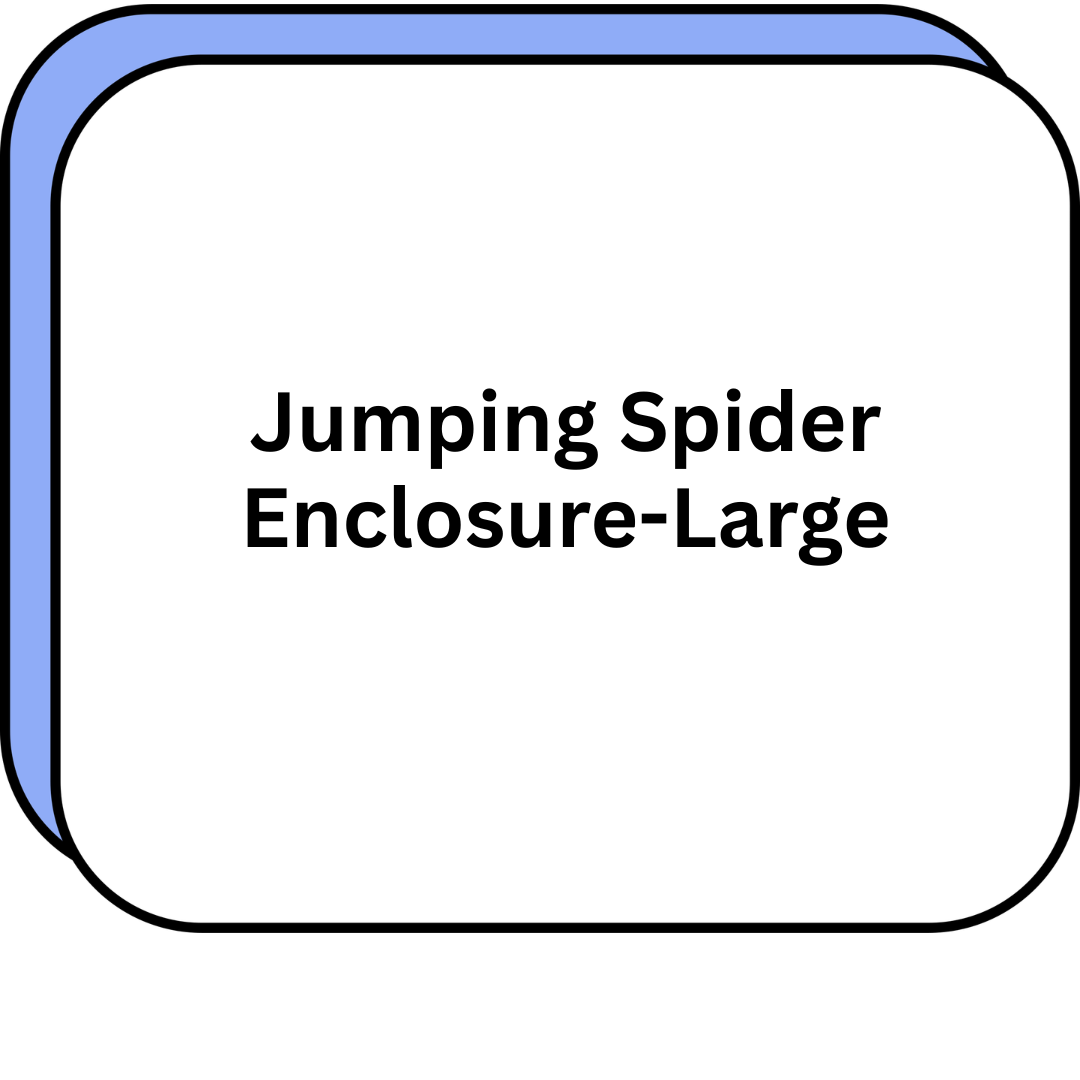 Jumping Spider Enclosure-Large