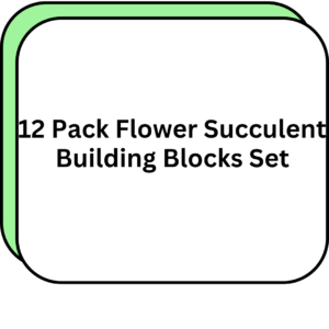 12 Pack Flower Succulent Building Blocks Set