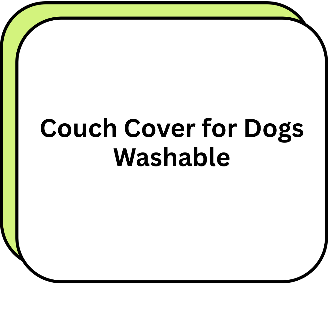 Couch Cover for Dogs Washable