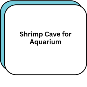 Shrimp Cave for Aquarium