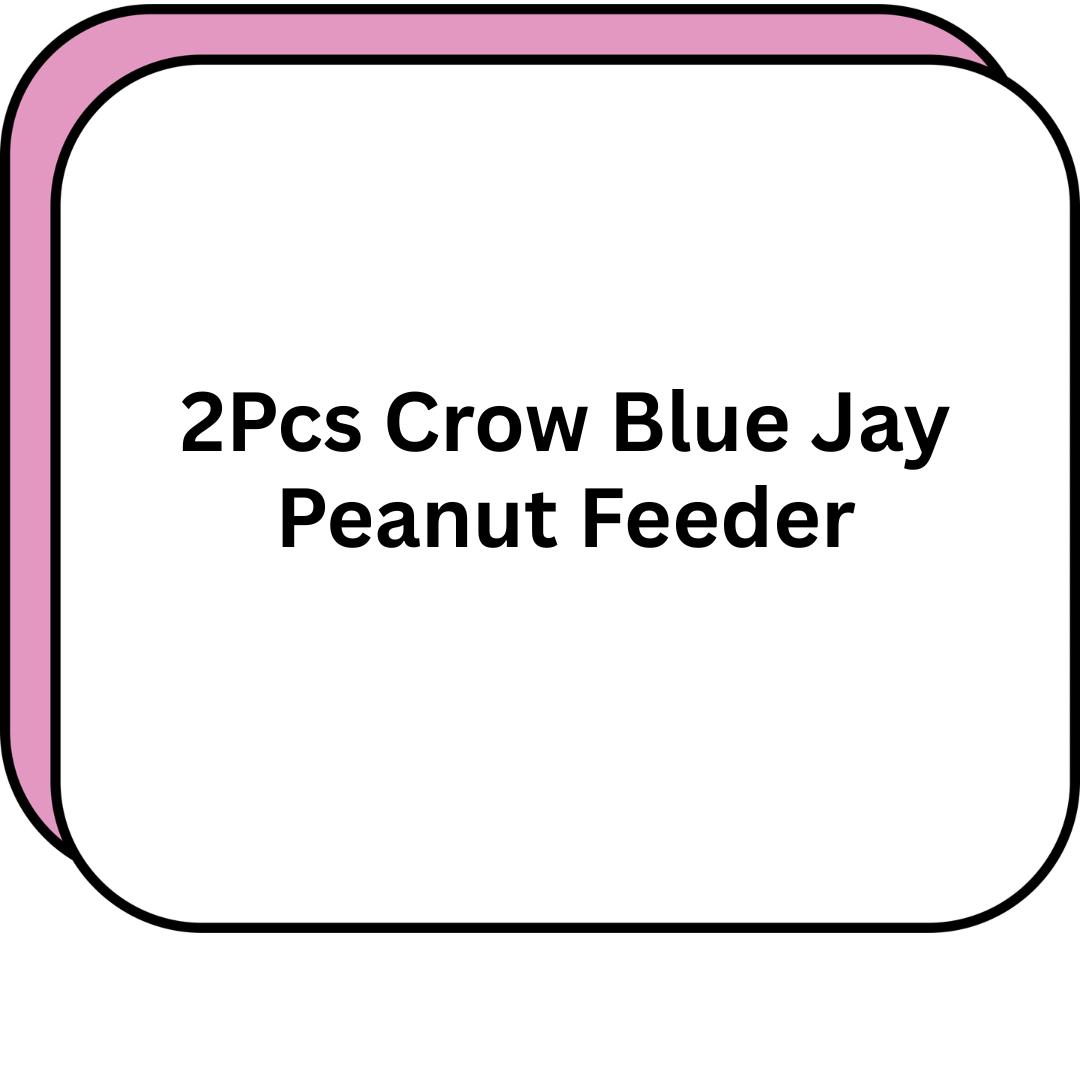 2Pcs Crow Blue Jay Peanut Feeder