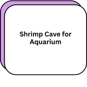 Shrimp Cave for Aquarium