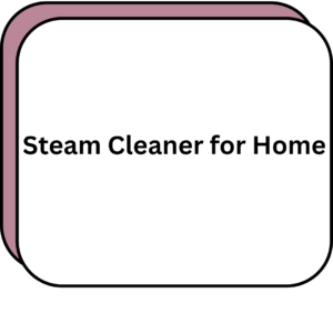 Steam Cleaner for Home