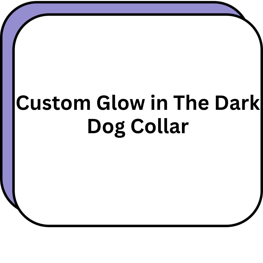Custom Glow in The Dark Dog Collar