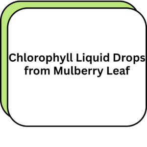 Chlorophyll Liquid Drops from Mulberry Leaf