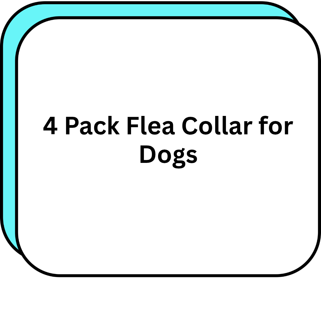 4 Pack Flea Collar for Dogs