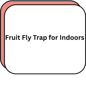 Fruit Fly Trap for Indoors