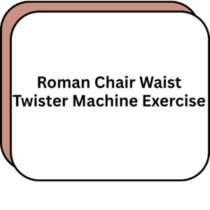 Roman Chair Waist Twister Machine Exercise