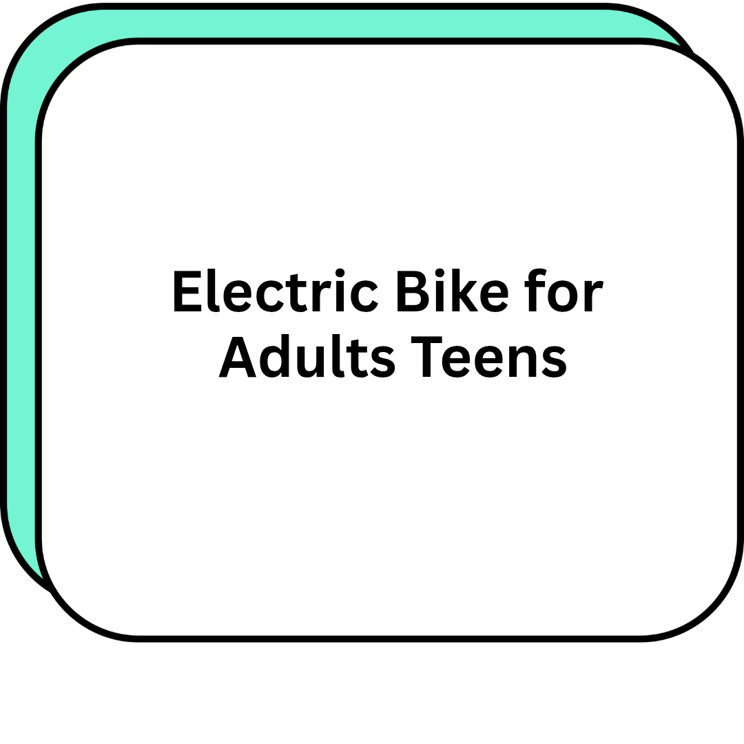 Electric Bike for Adults Teens