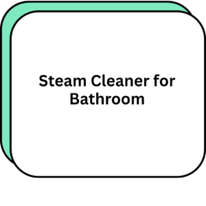 Steam Cleaner for Bathroom