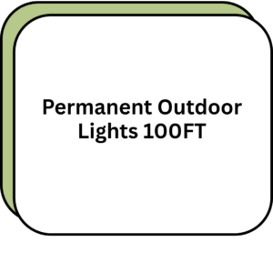 Permanent Outdoor Lights 100FT