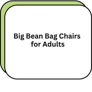 Big Bean Bag Chairs for Adults